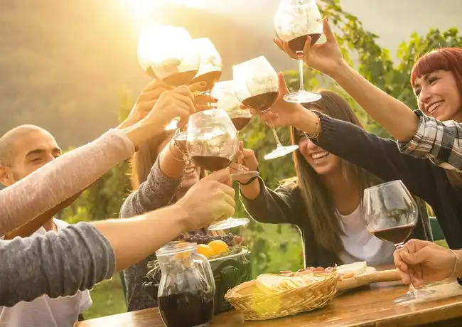 Yarra Valley e Dandenong Ranges: Tour di un giorno da Melbourne + pranzo, Melbourne, Australia, Melbourne Tickets.