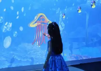 SEA LIFE Melbourne Aquarium: Entry Ticket, Melbourne, Australia, Melbourne Tickets.