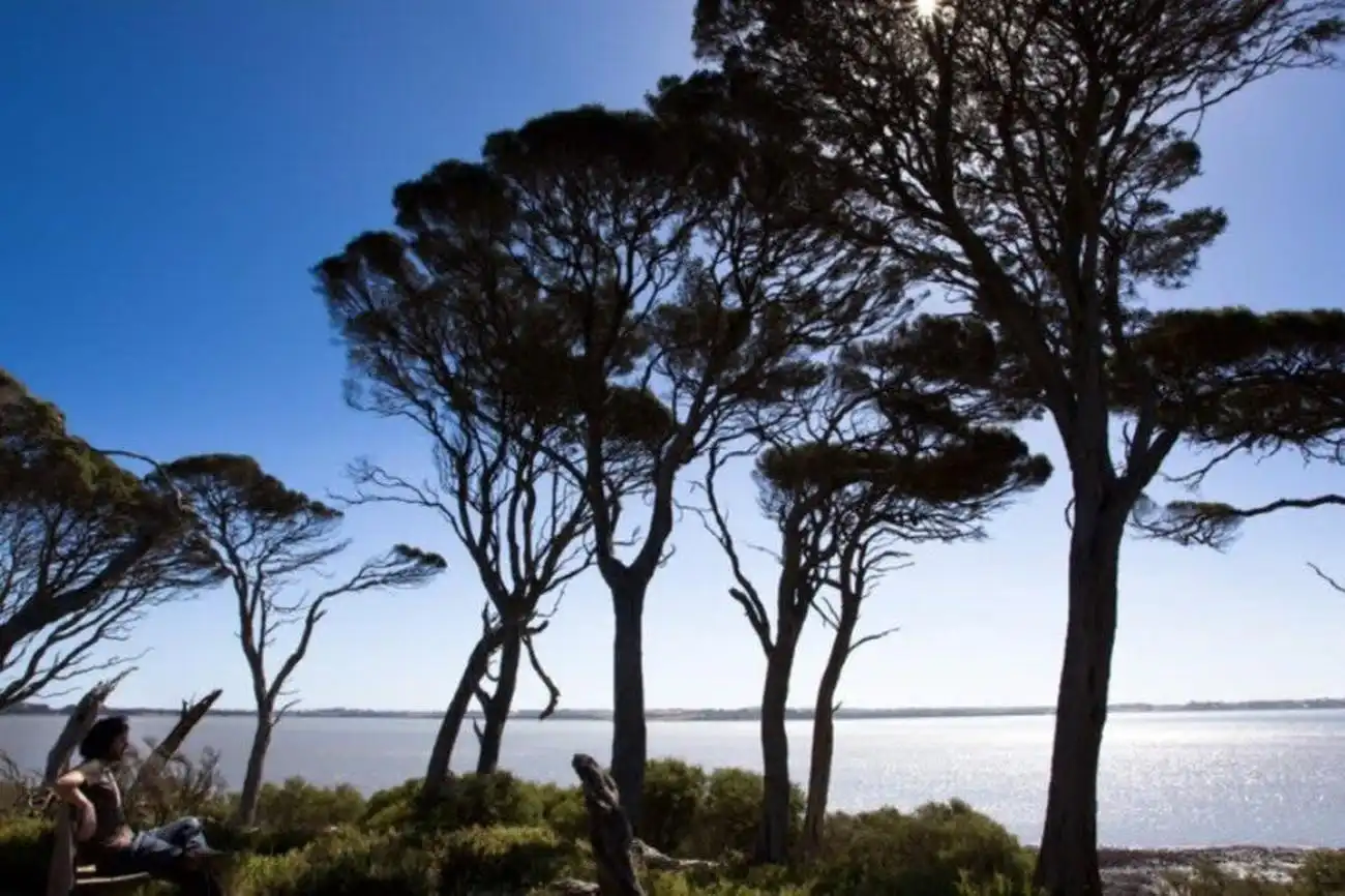 Phillip Island: Toegangskaartje Churchill Island, Cowes, Australië, Melbourne Tickets.
