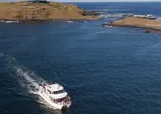 Phillip Island Seal Watching Cruise, Phillip Island, Australia, Melbourne Tickets.
