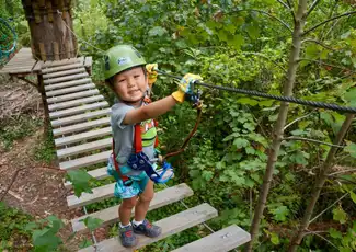Treetops Adventure: Belgrave Park, Belgrave, Australia, Melbourne Tickets.