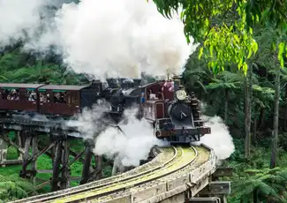 Puffing Billy & Phillip Island Penguin Parade: Bus- og togtur fra Melbourne, Melbourne, Australien, Melbourne Tickets.