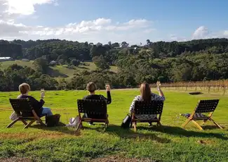 Yarra Valley : Déjeuner et dégustation de vin avec guide + transferts, Melbourne, Australie, Melbourne Tickets.
