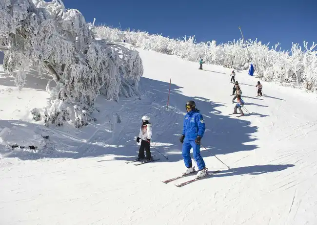 Mt Buller: Trasferimento in pullman da Melbourne + ingresso al resort, Melbourne, Australia, Melbourne Tickets.