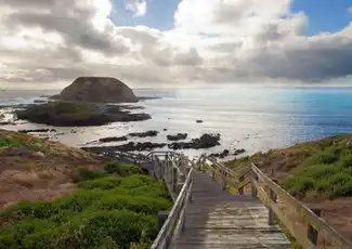Phillip Island Penguin Parade & Moonlit Sanctuary Conservation Park, Cowes, Australië, Melbourne Tickets.