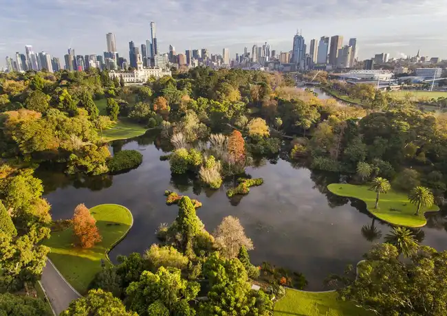 Royal Botanic Gardens Victoria: Passeggiata nel Patrimonio Aborigeno, Melbourne, Australia, Melbourne Tickets.