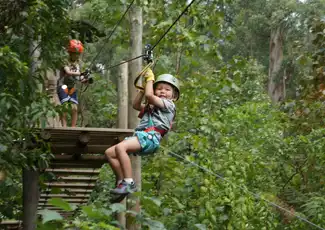 Treetops Adventure: Belgrave Park, Belgrave, Australia, Melbourne Tickets.