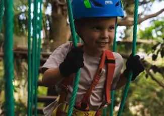 Treetops Adventure Yeodene Park: Corso di corde per bambini, Birregurra, Australia, Melbourne Tickets.