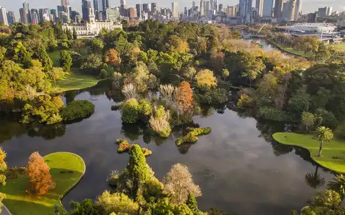 Royal Botanic Gardens Victoria : promenade dans le patrimoine aborigène, Melbourne, Australie, Melbourne Tickets.