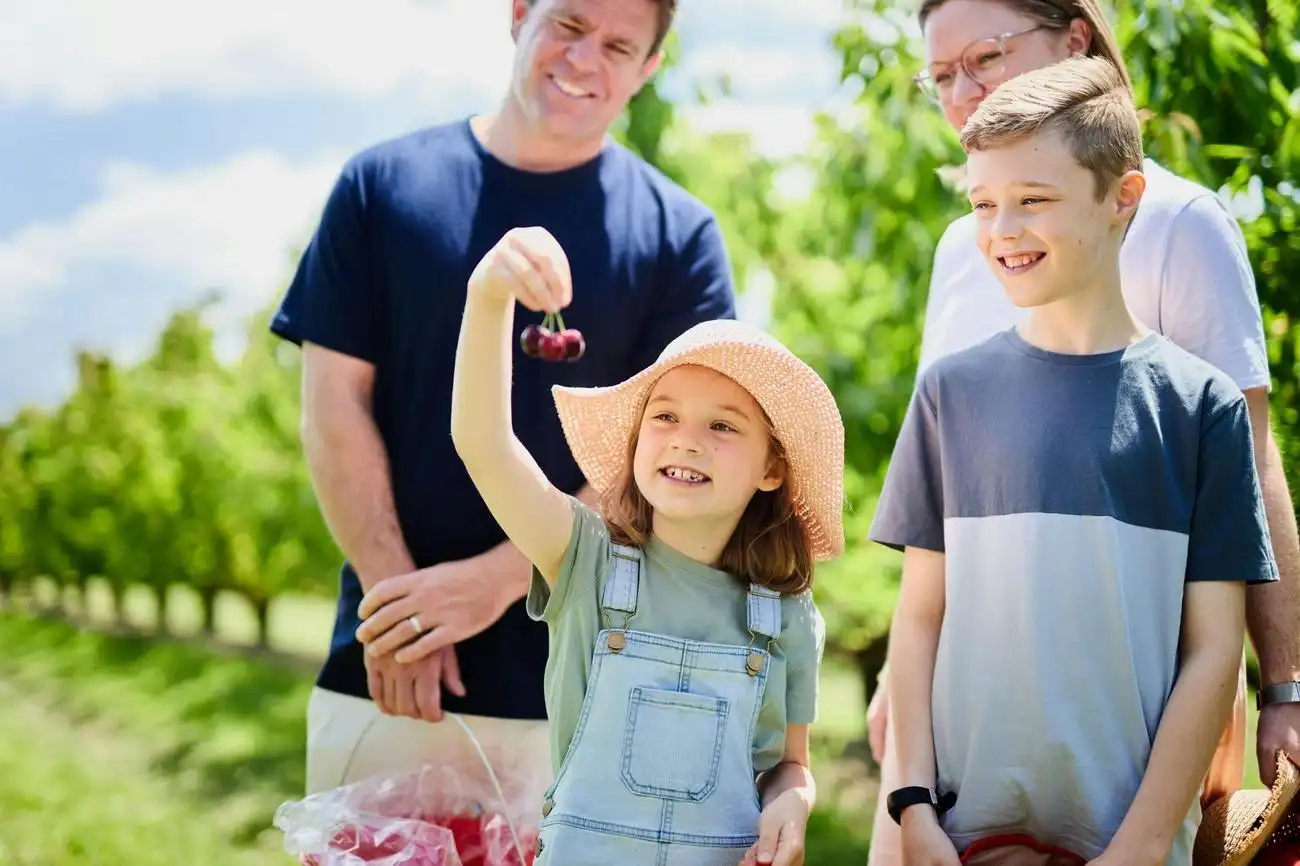 Melbourne: Puffing Billy Steam Train Ride + Cherry Picking & Chocolate Tasting, Melbourne, Australia, Melbourne Tickets.