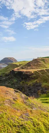 Melbourne Pass – Vivi la natura al Phillip Island Nature Park. Le migliori cose da fare a Melbourne con Melbourne Tickets.