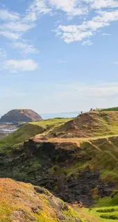 Melbourne Pass – Vivi la natura al Phillip Island Nature Park. Le migliori cose da fare a Melbourne con Melbourne Tickets.