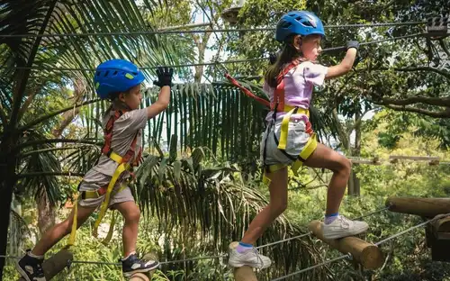 Treetops Adventure Yeodene Park : Parcours acrobatique junior, Birregurra, Australie, Melbourne Tickets.
