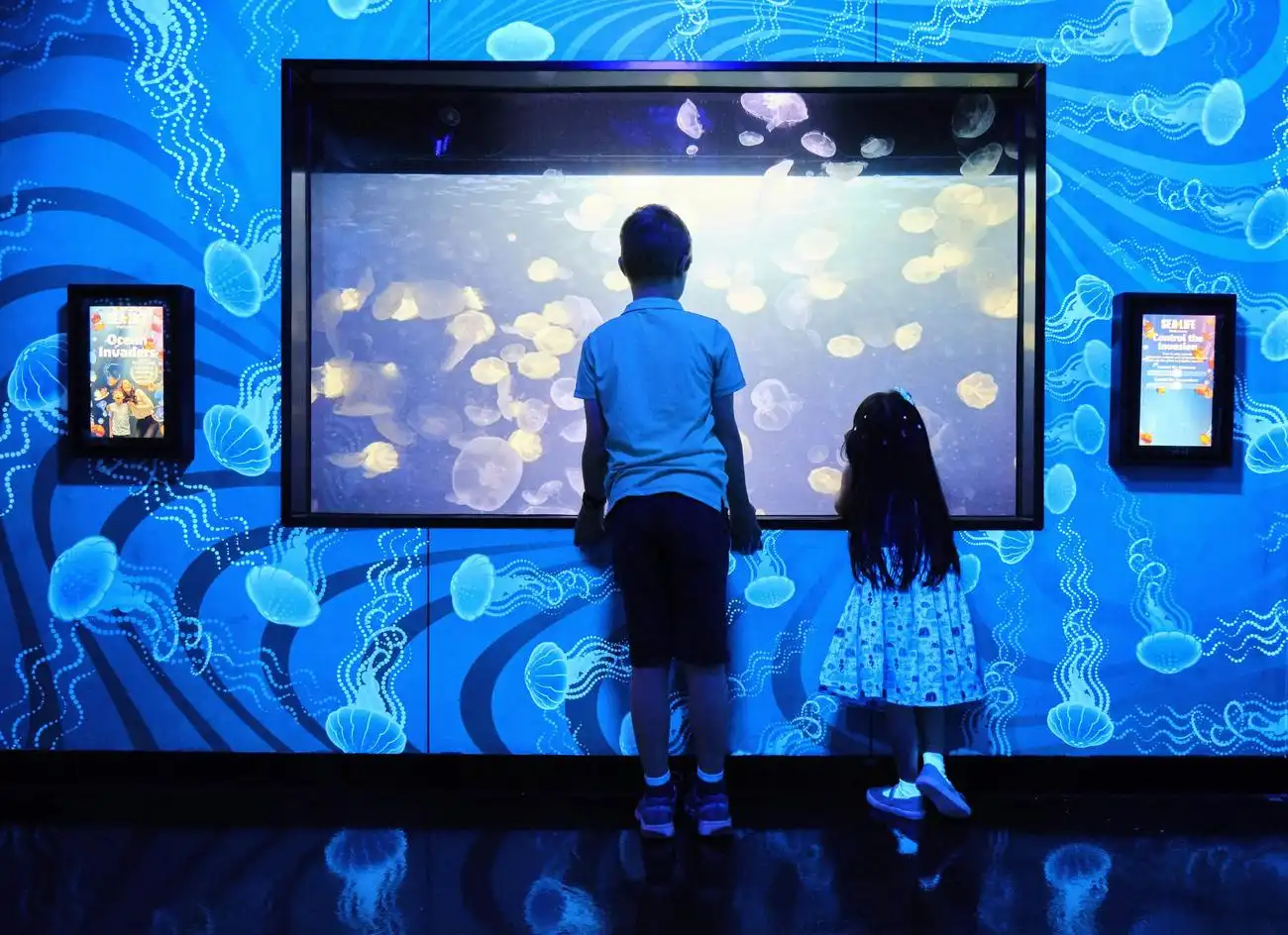 Kombinationsbillet til SEA LIFE Melbourne og LEGOLAND® Discovery Centre, Melbourne, Australien, Melbourne Tickets.