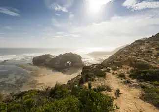 Mornington Peninsula: Bay Cruise & Sightseeing from Melbourne, Melbourne, Australia, Melbourne Tickets.