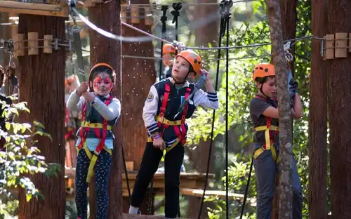 Treetops Adventure Belgrave : Billet d'entrée, Belgrave, Australie, Melbourne Tickets.