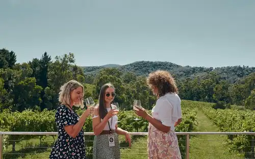 Péninsule de Mornington : visite en bus avec embarquement et débarquement depuis Melbourne, Melbourne, Australie, Melbourne Tickets.