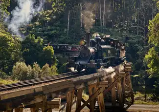 Melbourne: Puffing Billy Steam Train Ride + Cherry Picking & Chocolate Tasting, Melbourne, Australia, Melbourne Tickets.
