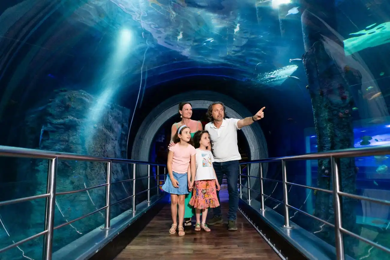 SEA LIFE Melbourne Aquarium: Entry Ticket, Melbourne, Australia, Melbourne Tickets.