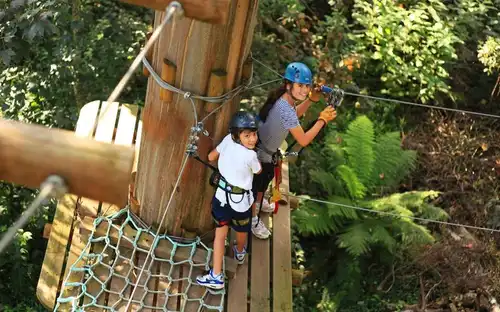 Treetops Adventure : Parc Yeodene, Birregurra, Australie, Melbourne Tickets.