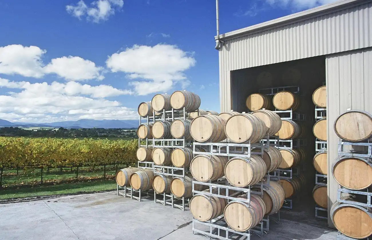 Vallée de Yarra : Visite de vignobles avec déjeuner + transport depuis Melbourne, Melbourne, Australie, Melbourne Tickets.