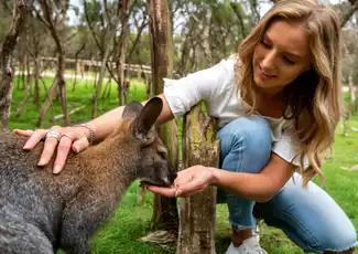 Pinguïn Parade + Moonlit Sanctuary Wildlife Park: Dagtocht vanuit Melbourne, Cowes, Australië, Melbourne Tickets.