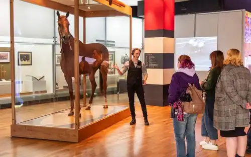 Musée de Melbourne : Visite des icônes de Melbourne, Melbourne, Australie, Melbourne Tickets.