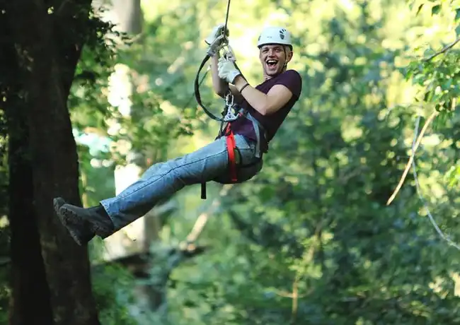 Treetops Adventure: Belgrave Park, Belgrave, Australia, Melbourne Tickets.