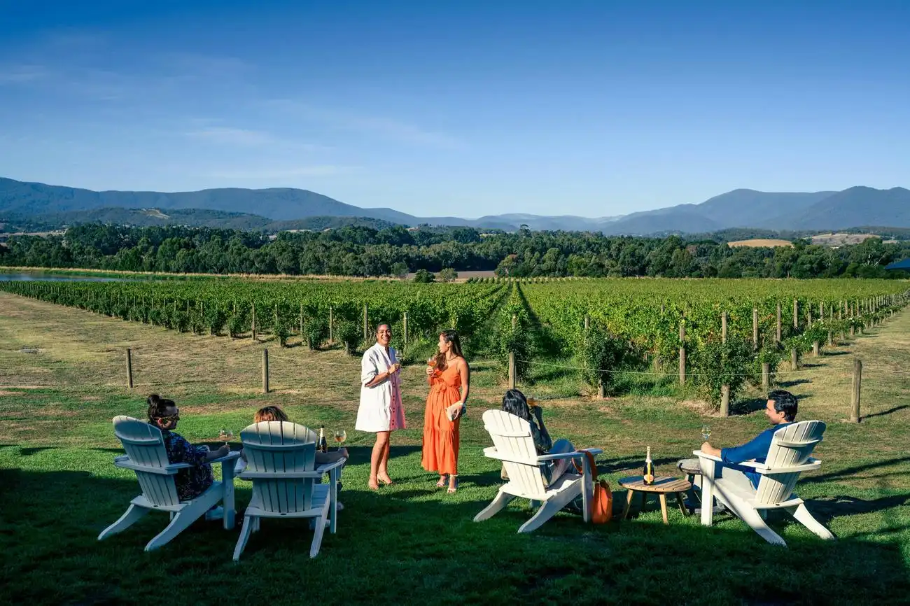 Yarra Valley : Déjeuner et dégustation de vin avec guide + transferts, Melbourne, Australie, Melbourne Tickets.