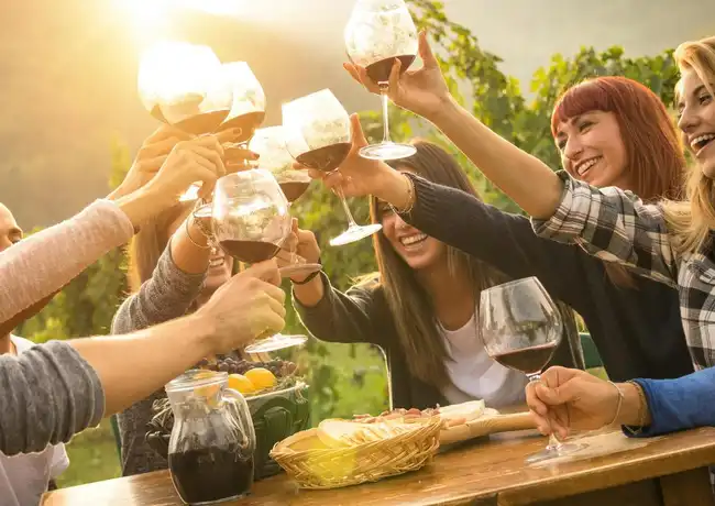 Vallée de Yarra : Visite de vignobles avec déjeuner + transport depuis Melbourne, Melbourne, Australie, Melbourne Tickets.