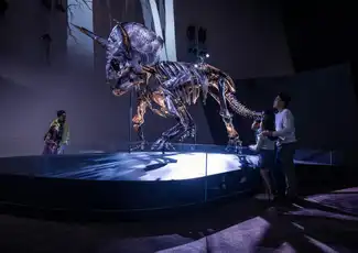 Melbourne Museum: Home of Dinosaurs Rondleiding, Melbourne, Australië, Melbourne Tickets.