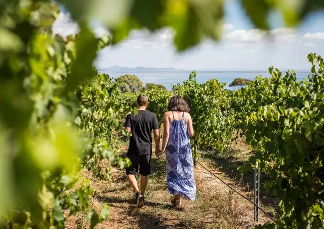 Around the Bay: Day Trip from Melbourne with Food & Wine Tastings, Melbourne, Australia, Melbourne Tickets.