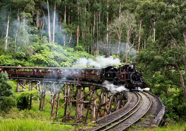 Chemin de fer de Puffing Billy : Excursion et découverte de la faune et de la flore + transferts, Belgrave, Australie, Melbourne Tickets.