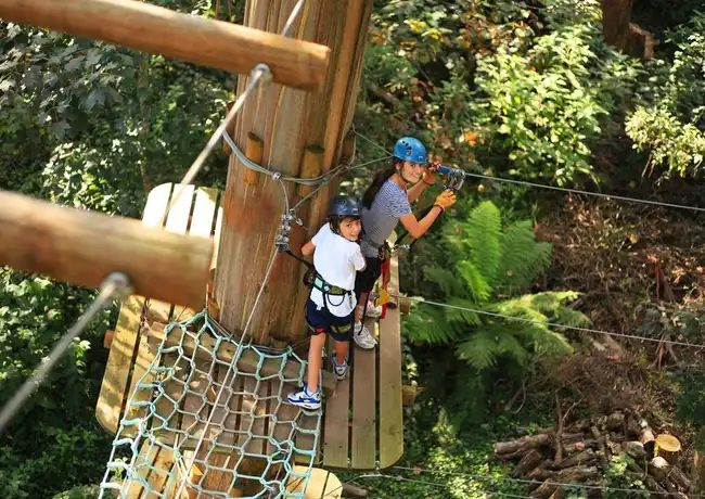 Treetops Adventure : Parc Yeodene, Birregurra, Australie, Melbourne Tickets.