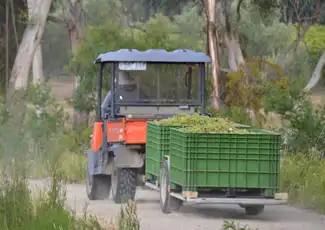 Vallée de Yarra : Visite de vignobles avec déjeuner + transport depuis Melbourne, Melbourne, Australie, Melbourne Tickets.