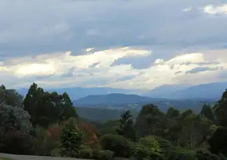 Yarra Valley e Dandenong Ranges: Tour di un giorno da Melbourne + pranzo, Melbourne, Australia, Melbourne Tickets.