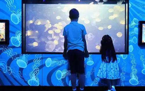 SEA LIFE Melbourne Aquarium: Entry Ticket, Melbourne, Australia, Melbourne Tickets.