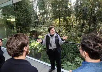 Musée de Melbourne : Visite guidée, Melbourne, Australie, Melbourne Tickets.
