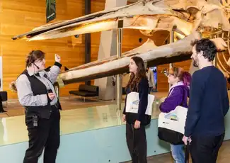 Musée de Melbourne : Visite des icônes de Melbourne, Melbourne, Australie, Melbourne Tickets.