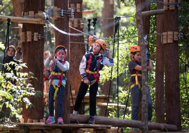 Treetops Adventure Belgrave : Billet d'entrée, Belgrave, Australie, Melbourne Tickets.