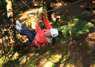 Treetops Adventure: Belgrave Park, Belgrave, Australia, Melbourne Tickets.