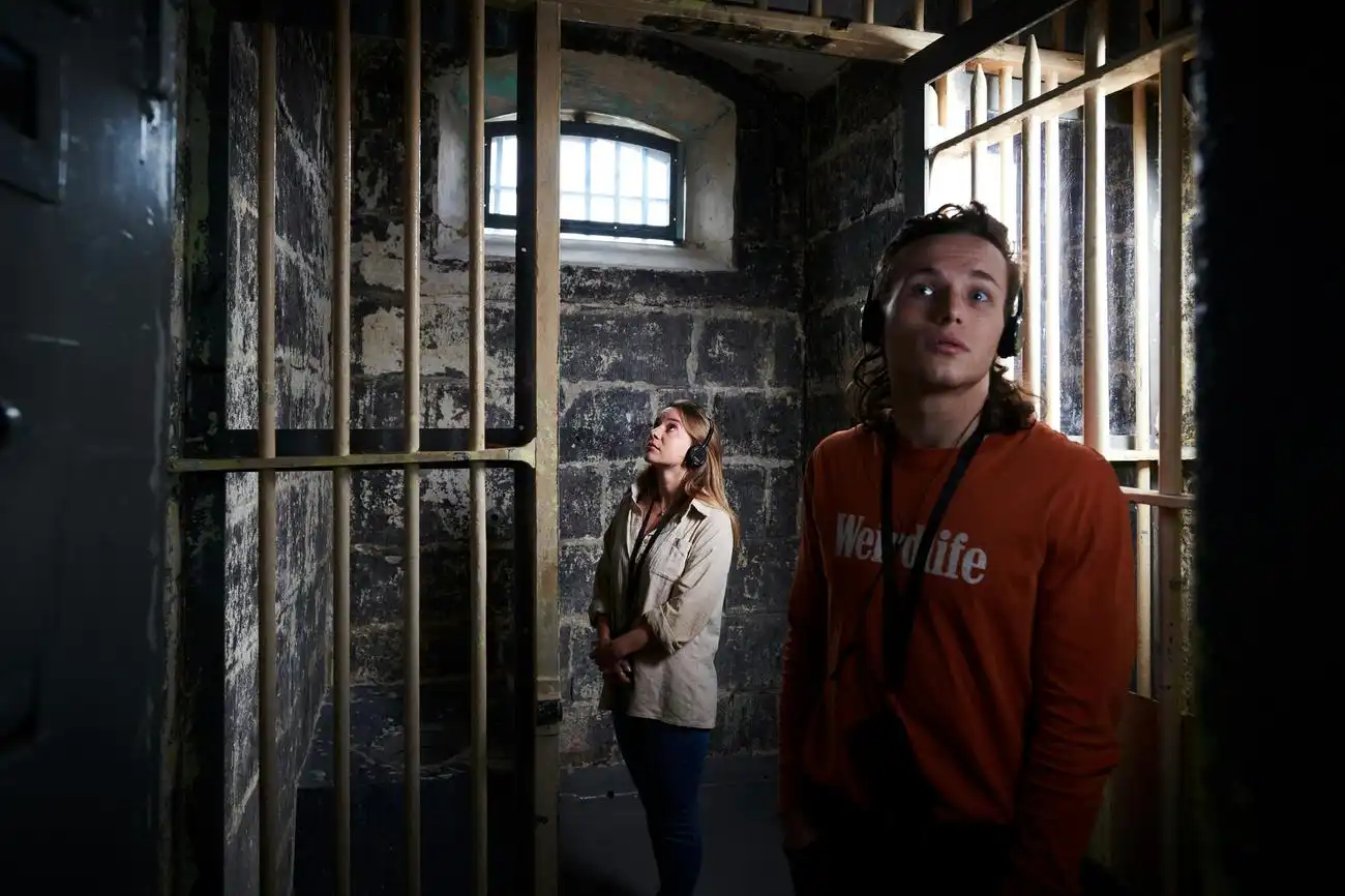 Prison de Pentridge : Admission avec visites de la Division B ou H, Melbourne, Australie, Melbourne Tickets.