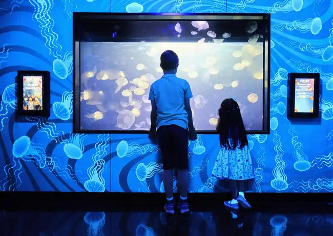 SEA LIFE Melbourne Aquarium: Entry Ticket, Melbourne, Australia, Melbourne Tickets.