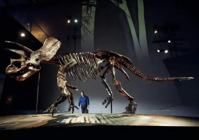 Melbourne Museum: Home of Dinosaurs Rondleiding, Melbourne, Australië, Melbourne Tickets.