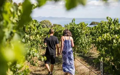 Around the Bay: Day Trip from Melbourne with Food & Wine Tastings, Melbourne, Australia, Melbourne Tickets.