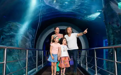 SEA LIFE Melbourne & LEGOLAND® Discovery Centre : billet combiné, Melbourne, Australie, Melbourne Tickets.
