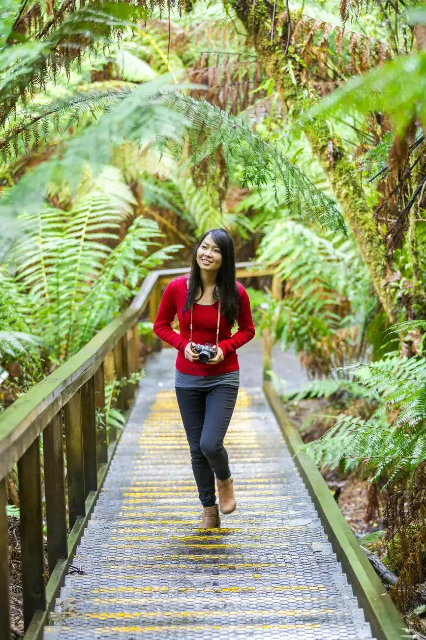 Otway Fly Treetop Walk, Weeaproinah, Australia, Melbourne Tickets.