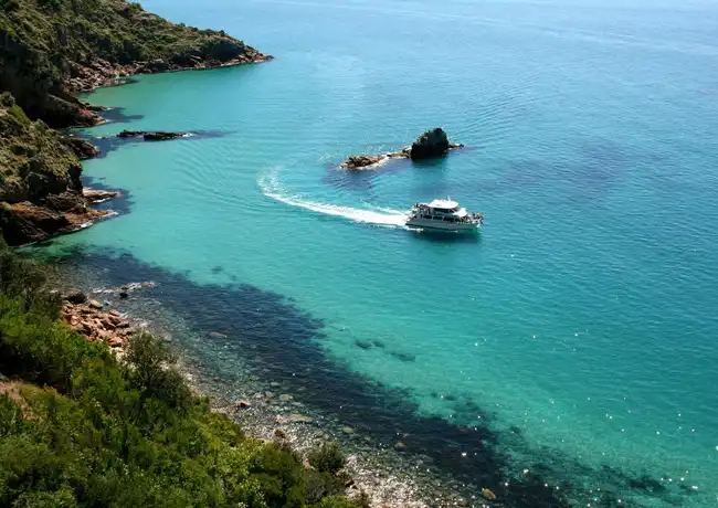 Cape Woolamai Cruise from San Remo, Cowes, Australia, Melbourne Tickets.