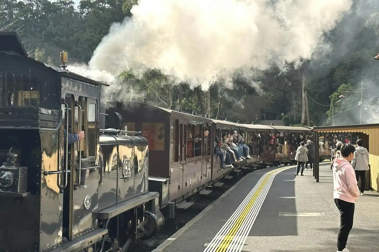 Puffing Billy & Phillip Island Penguin Parade: Bus- og togtur fra Melbourne, Melbourne, Australien, Melbourne Tickets.