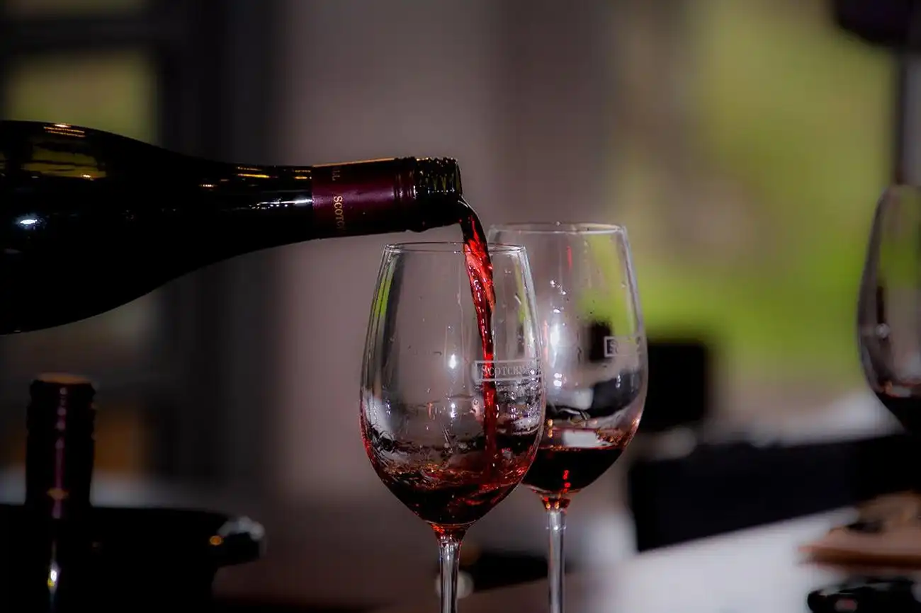 Around the Bay: Day Trip from Melbourne with Food & Wine Tastings, Melbourne, Australia, Melbourne Tickets.